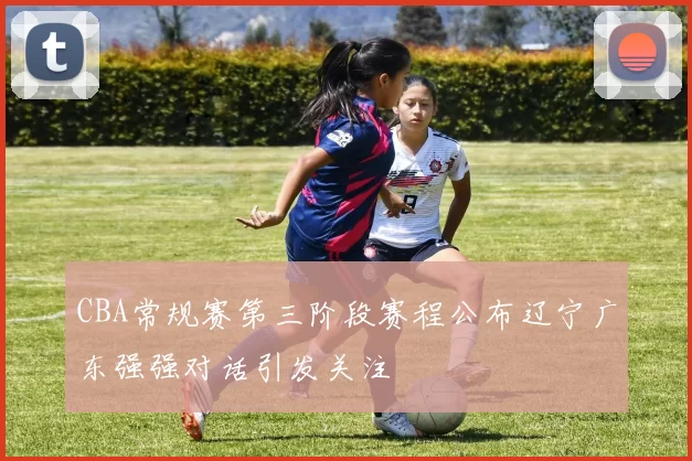 CBA常规赛第三阶段赛程公布辽宁广东强强对话引发关注