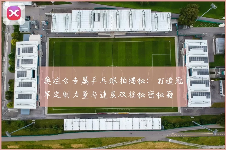 奥运会专属乒乓球拍揭秘：打造冠军定制力量与速度双核秘密秘籍