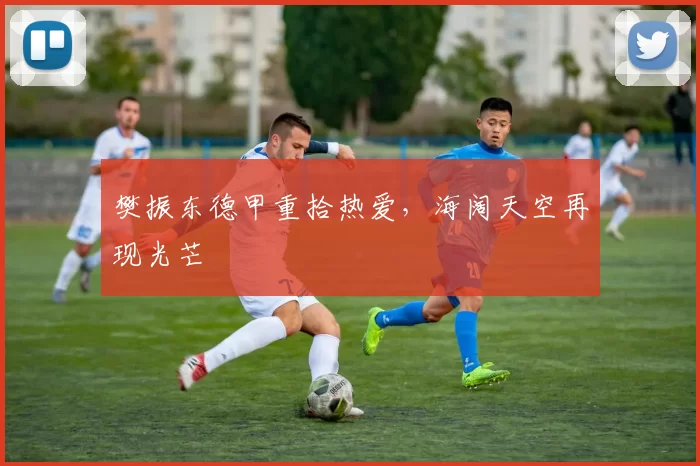 樊振东德甲重拾热爱，海阔天空再现光芒