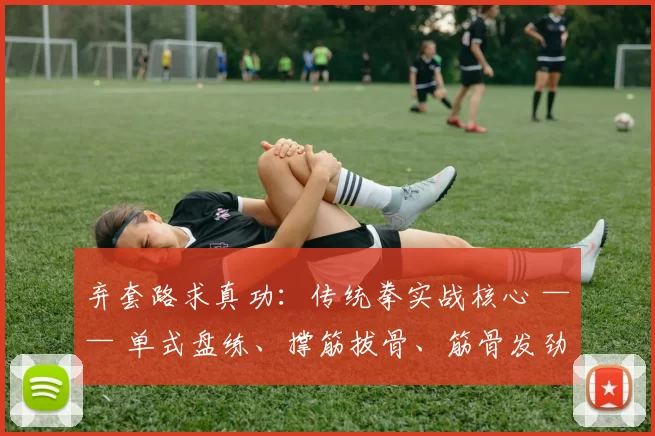 弃套路求真功：传统拳实战核心 —— 单式盘练、撑筋拔骨、筋骨发劲