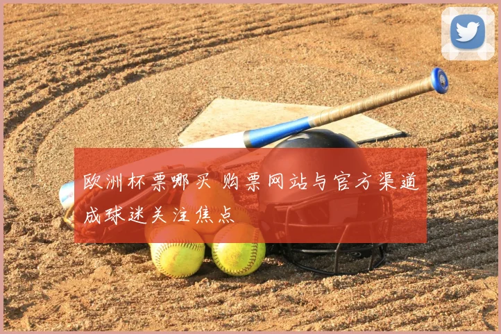 欧洲杯票哪买 购票网站与官方渠道成球迷关注焦点