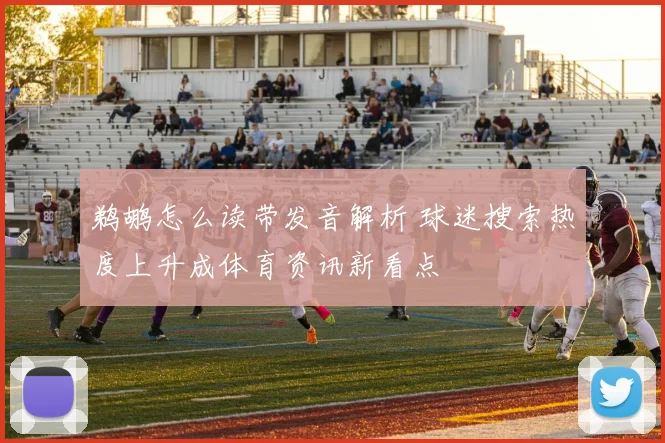 鹈鹕怎么读带发音解析 球迷搜索热度上升成体育资讯新看点
