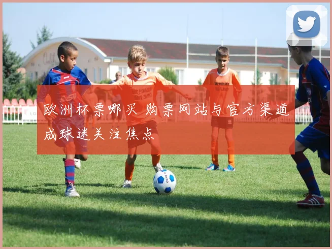 欧洲杯票哪买 购票网站与官方渠道成球迷关注焦点