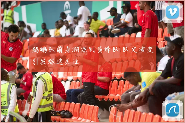 鹈鹕队前身溯源到黄蜂队 队史演变引发球迷关注
