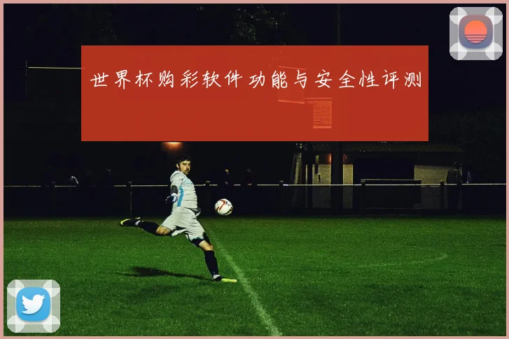 世界杯购彩软件功能与安全性评测