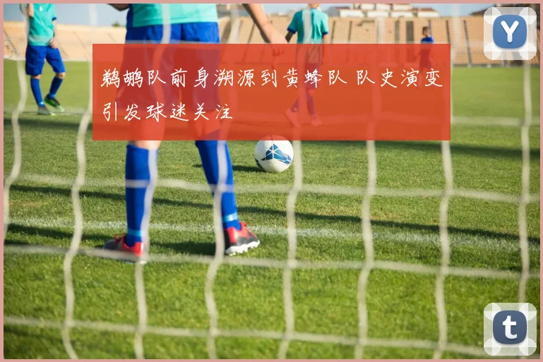 鹈鹕队前身溯源到黄蜂队 队史演变引发球迷关注