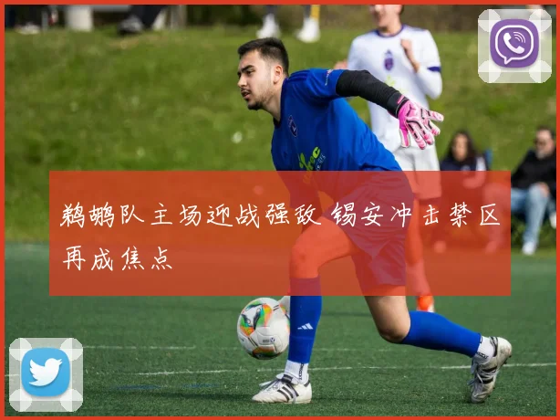 鹈鹕队主场迎战强敌 锡安冲击禁区再成焦点
