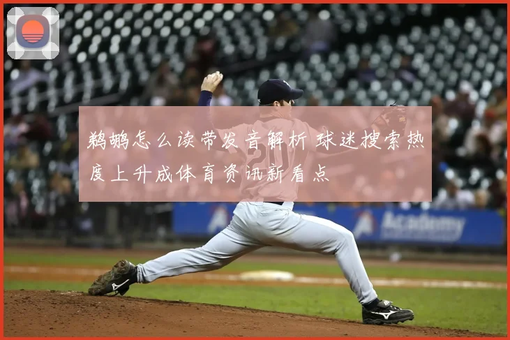 鹈鹕怎么读带发音解析 球迷搜索热度上升成体育资讯新看点