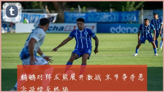 鹈鹕对阵灰熊展开激战 末节争夺悬念延续至终场